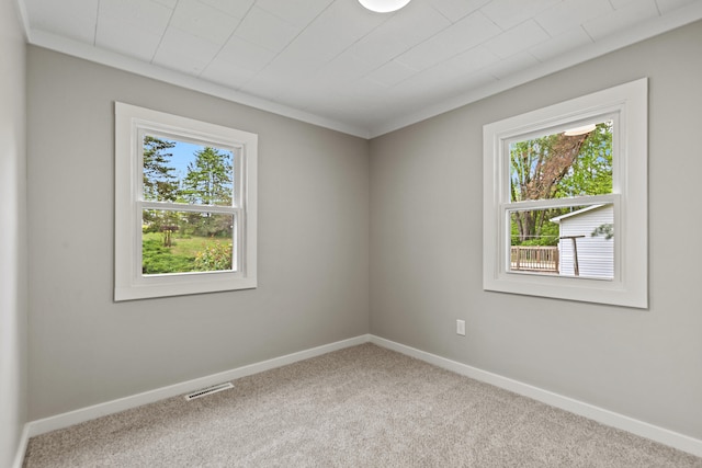 17465 Rapids Dr, Hersey, MI 49639 - unfurnished room featuring healthy amount of natural light, carpet floors, baseboards, and crown molding