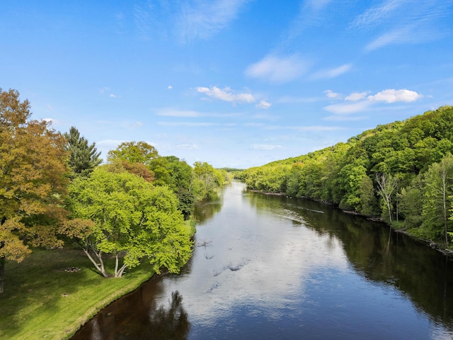 17465 Rapids Dr, Hersey, MI 49639 - water view with a forest