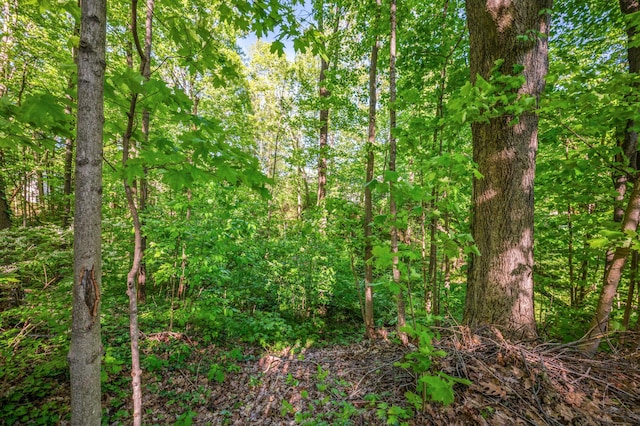 4085 Ravina Ter, Saint Joseph, MI 49085 - view of woods