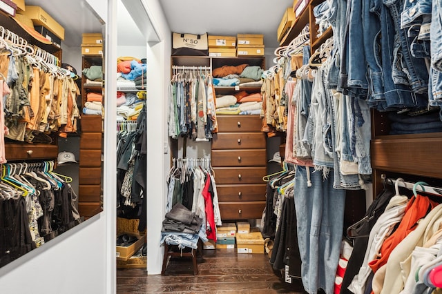 4085 Ravina Ter, Saint Joseph, MI 49085 - walk in closet featuring wood finished floors