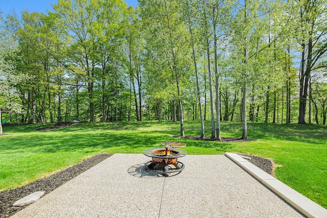 4035 136th Ave, Hamilton, MI 49419 - view of patio featuring an outdoor fire pit