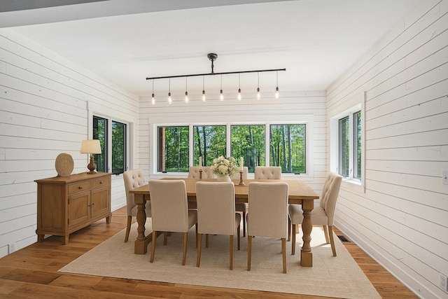 4035 136th Ave, Hamilton, MI 49419 - dining area with plenty of natural light, track lighting, wooden walls, and wood finished floors