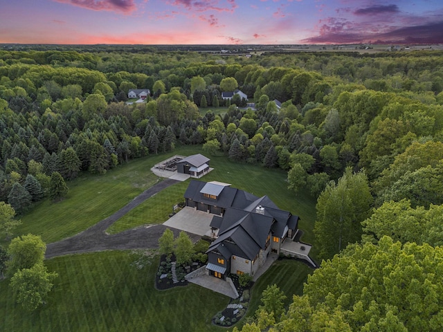 4035 136th Ave, Hamilton, MI 49419 - aerial overview of property's location with a heavily wooded area