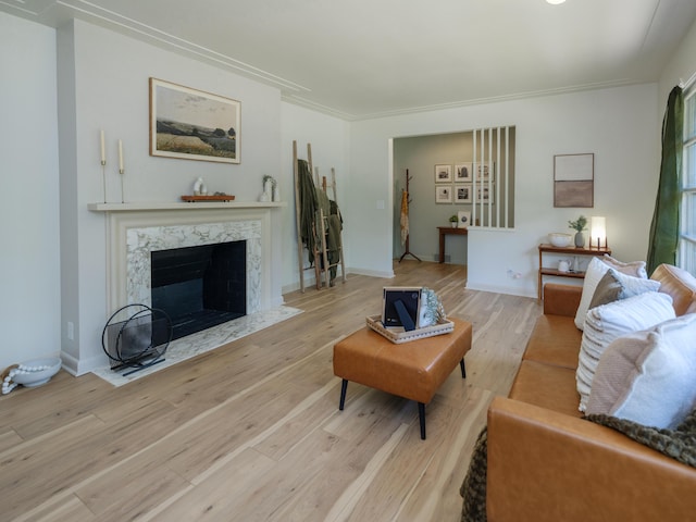 906 Wilshire Blvd, Kalamazoo, MI 49008 - living area with light wood-style floors, a premium fireplace, and crown molding
