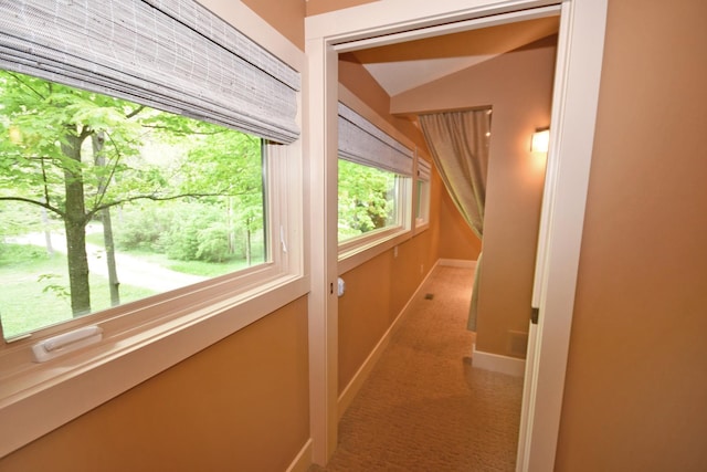 4365 W Burdickville Rd, Maple City, MI 49664 - photo 37