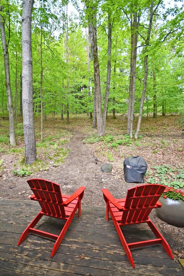 4365 W Burdickville Rd, Maple City, MI 49664 - photo 39