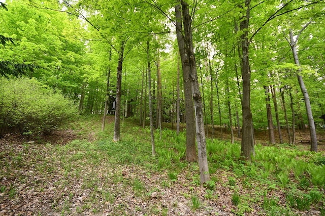 4365 W Burdickville Rd, Maple City, MI 49664 - photo 40