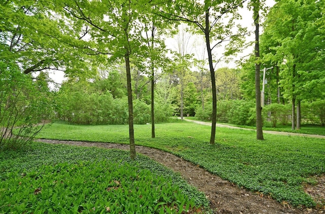 4365 W Burdickville Rd, Maple City, MI 49664 - photo 42