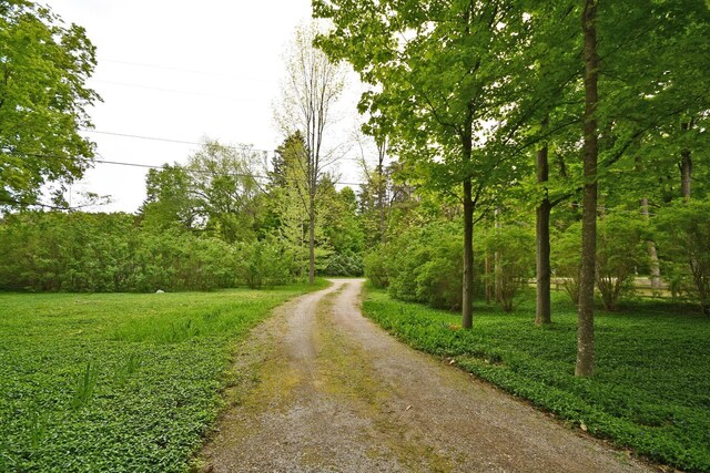4365 W Burdickville Rd, Maple City, MI 49664 - photo 43