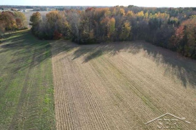 12400 S Block Rd, Birch Run, MI 48415
