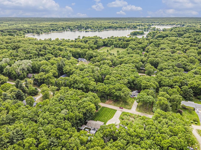6432 Cat St, Twin Lake, MI 49457