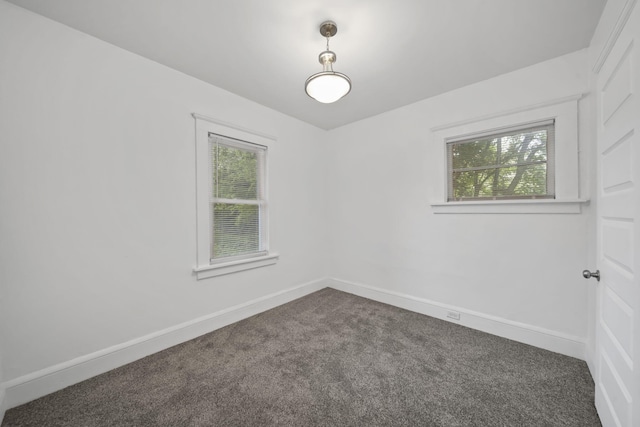 130 N Horton St, Jackson, MI 49202 - unfurnished room featuring healthy amount of natural light, dark carpet, and baseboards