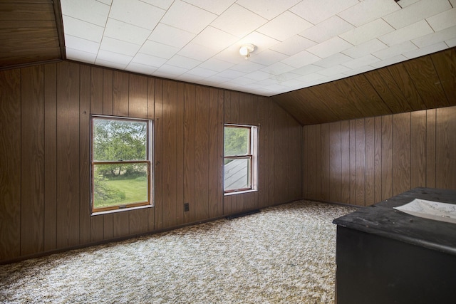 614 Marshall Rd, Coldwater, MI 49036 - bonus room with vaulted ceiling, carpet, and wooden walls