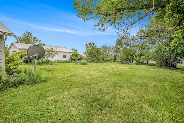 614 Marshall Rd, Coldwater, MI 49036 - view of green lawn
