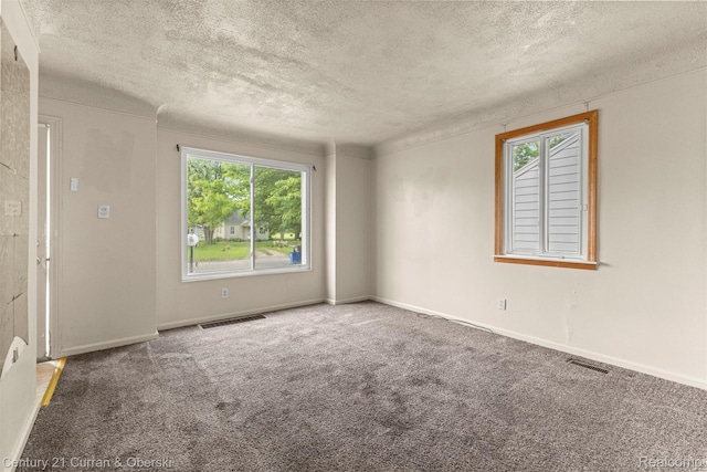 25960 Yale St, Inkster, MI 48141 - spare room with a textured ceiling, healthy amount of natural light, carpet flooring, and baseboards