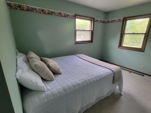 1328 S Montgomery St, Hastings, MI 49058 - carpeted bedroom featuring baseboards
