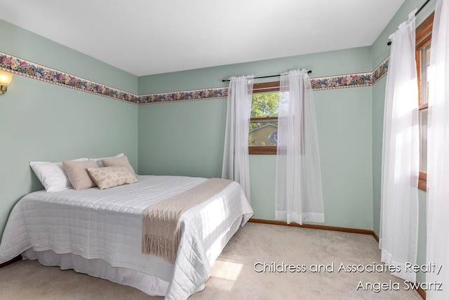 1328 S Montgomery St, Hastings, MI 49058 - bedroom featuring carpet flooring and baseboards