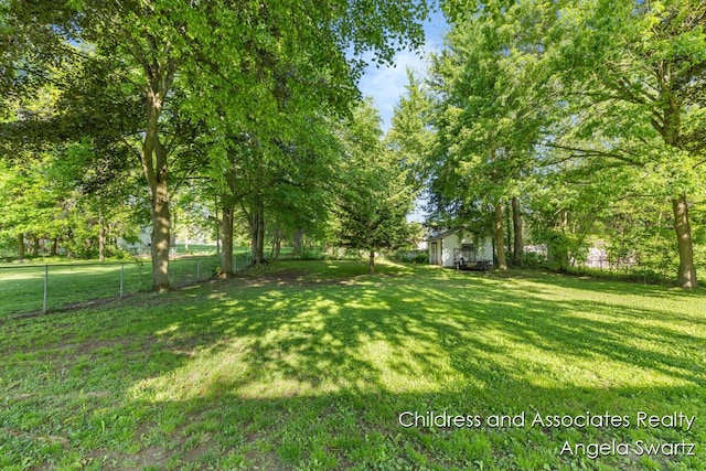 1328 S Montgomery St, Hastings, MI 49058 - view of yard