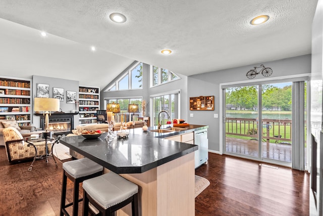 9228 Main St, Canadian Lakes, MI 49346 - kitchen featuring a sink, a textured ceiling, dishwasher, a glass covered fireplace, and dark countertops
