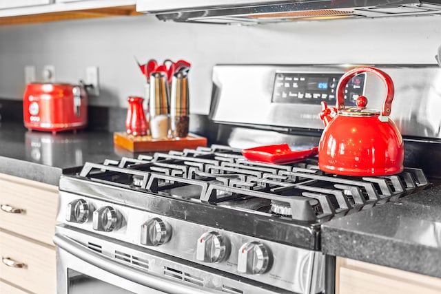9228 Main St, Canadian Lakes, MI 49346 - kitchen view of stainless steel gas range oven