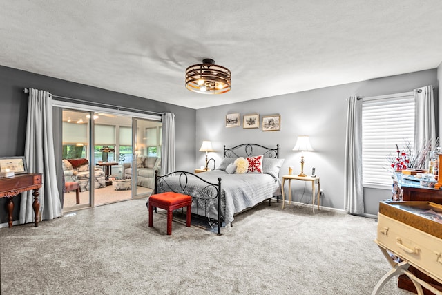 9228 Main St, Canadian Lakes, MI 49346 - bedroom with access to exterior, carpet floors, and a textured ceiling