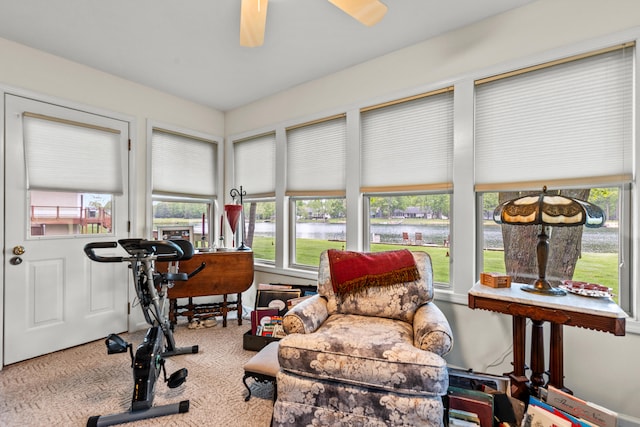 9228 Main St, Canadian Lakes, MI 49346 - sunroom with plenty of natural light, a water view, and carpet floors
