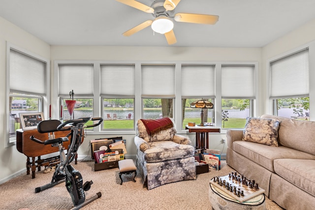9228 Main St, Canadian Lakes, MI 49346 - sunroom featuring healthy amount of natural light, a water view, and carpet floors