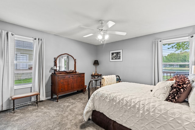 9228 Main St, Canadian Lakes, MI 49346 - carpeted bedroom with multiple windows and a ceiling fan