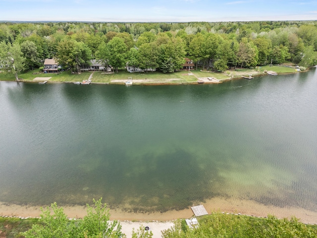 9228 Main St, Canadian Lakes, MI 49346 - water view featuring a heavily wooded area