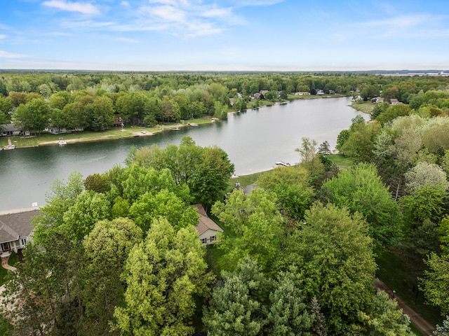 9228 Main St, Canadian Lakes, MI 49346 - drone / aerial view of a nearby body of water and a heavily wooded area