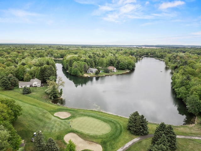 9228 Main St, Canadian Lakes, MI 49346 - drone / aerial view of a heavily wooded area, a nearby body of water, and a golf course