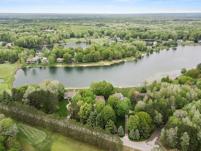 9228 Main St, Canadian Lakes, MI 49346 - aerial view of a nearby body of water and a forest