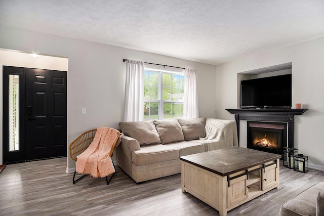 13860 Rolling Creek Dr, Lowell, MI 49331 - living area featuring wood finished floors, a glass covered fireplace, and baseboards