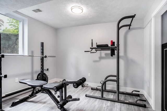 13860 Rolling Creek Dr, Lowell, MI 49331 - exercise room with wood finished floors, a textured ceiling, and baseboards