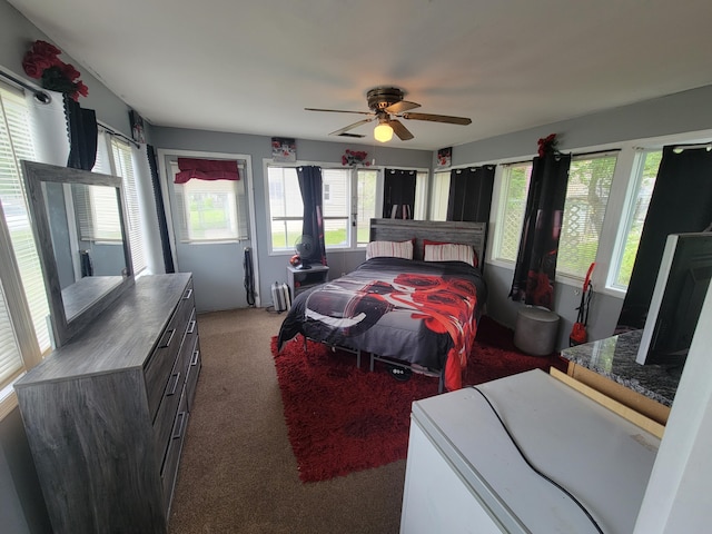 1607 Palmer Ave, Kalamazoo, MI 49001 - bedroom with light carpet and a ceiling fan