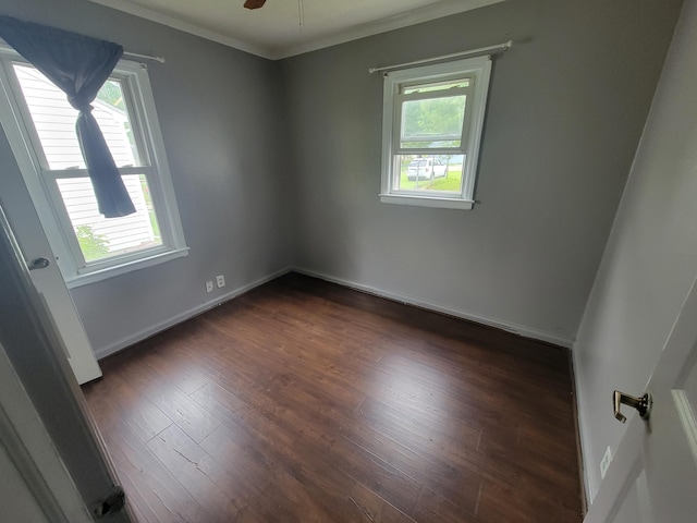 1607 Palmer Ave, Kalamazoo, MI 49001 - unfurnished room with dark wood-style floors, a ceiling fan, crown molding, and baseboards