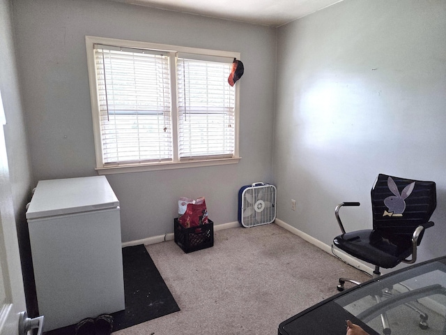 617 Stoll Rd, Lansing, MI 48917 - home office with carpet and baseboards