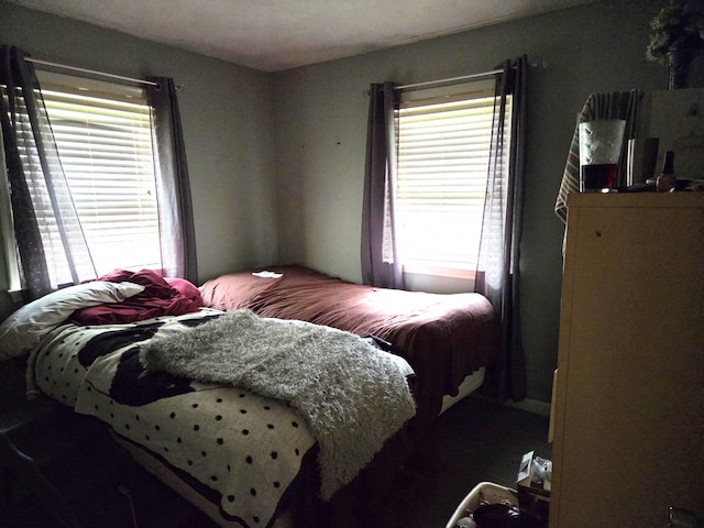 617 Stoll Rd, Lansing, MI 48917 - bedroom featuring multiple windows