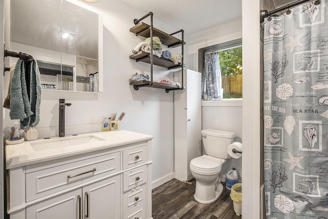 418 W Fargo St, Ionia, MI 48846 - full bathroom with wood finished floors, vanity, toilet, and a shower with shower curtain