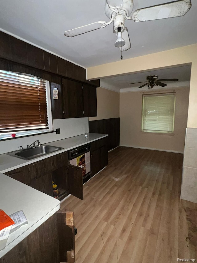 20258 Fairport St, Detroit, MI 48205 - kitchen with ceiling fan, a sink, and light wood-type flooring