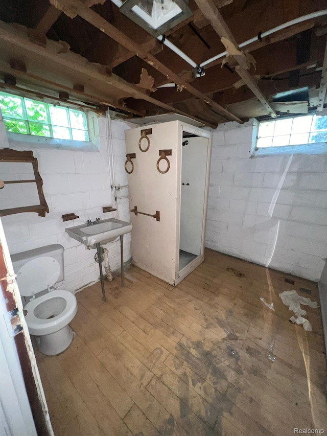 20258 Fairport St, Detroit, MI 48205 - bathroom with toilet, hardwood / wood-style floors, and a sink