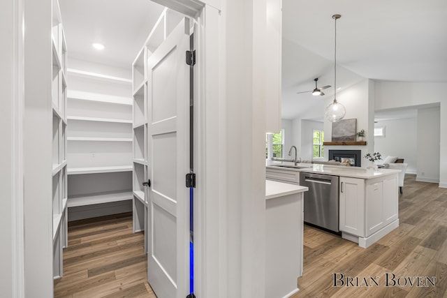 4846 Honeycrisp Dr NE, Rockford, MI 49341 - kitchen featuring stainless steel dishwasher, open floor plan, a ceiling fan, lofted ceiling, and a glass covered fireplace