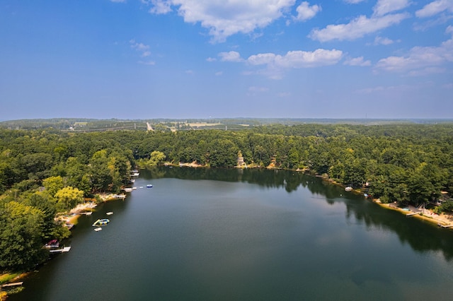 376 Highview Rd, Traverse City, MI 49696 - aerial view of a heavily wooded area and a large body of water