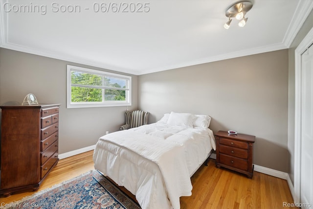 307 N Eton St, Birmingham, MI 48009 - bedroom with baseboards, crown molding, and light wood-style floors