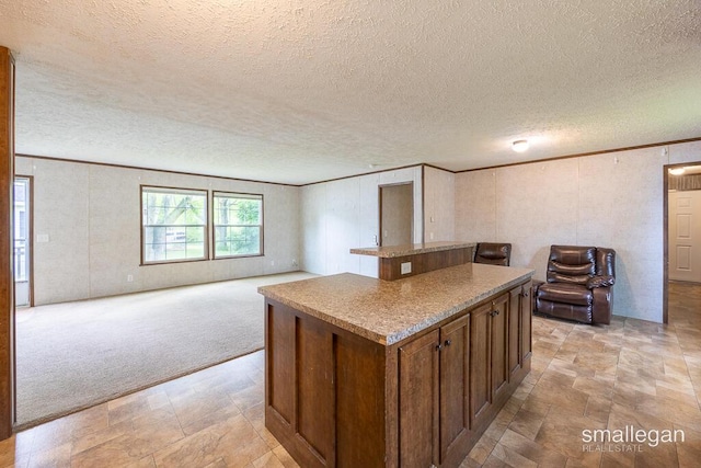 229 Spear St SW, Grand Rapids, MI 49548 - kitchen featuring a center island, ornamental molding, a textured ceiling, open floor plan, and light carpet