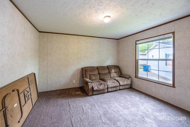229 Spear St SW, Grand Rapids, MI 49548 - sitting room featuring ornamental molding, carpet flooring, and a textured ceiling