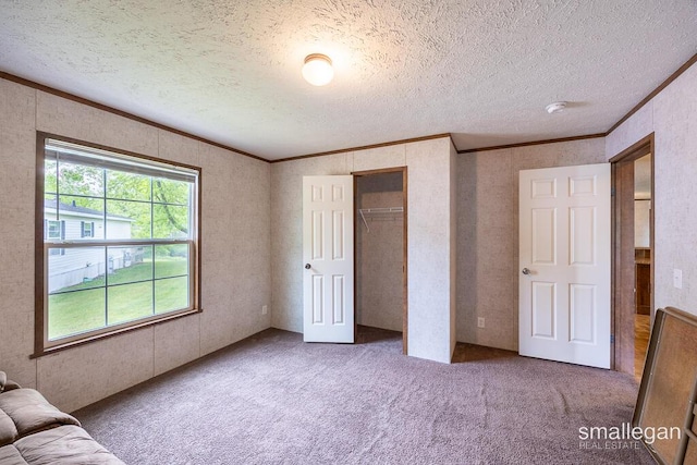 229 Spear St SW, Grand Rapids, MI 49548 - unfurnished bedroom with ornamental molding, carpet flooring, a textured ceiling, and a closet