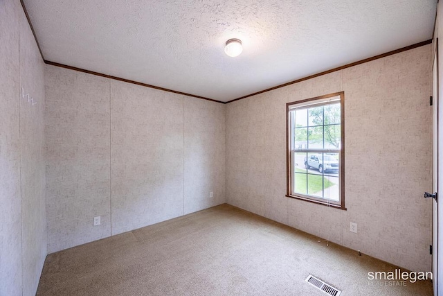 229 Spear St SW, Grand Rapids, MI 49548 - empty room featuring ornamental molding, carpet floors, and a textured ceiling