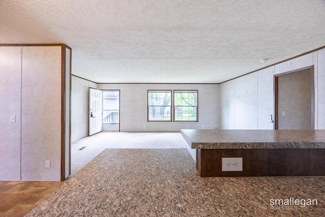 229 Spear St SW, Grand Rapids, MI 49548 - spare room featuring ornamental molding and a textured ceiling