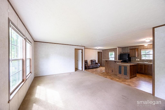 229 Spear St SW, Grand Rapids, MI 49548 - unfurnished living room featuring light colored carpet and a textured ceiling